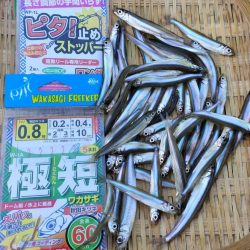 愛知県入鹿池ボート ワカサギ釣り！