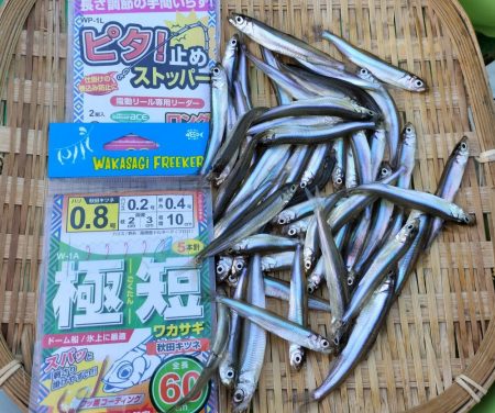 愛知県入鹿池ボート ワカサギ釣り！