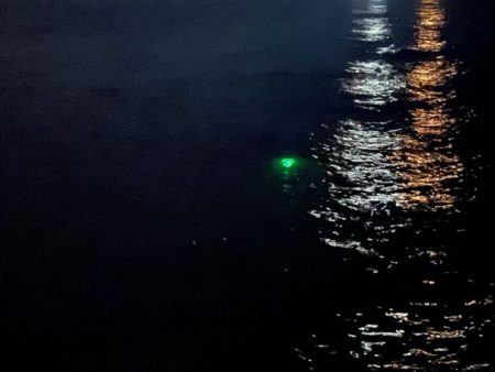 姫路メバリングで初釣り|メバル激渋!ガシラ高活性!!