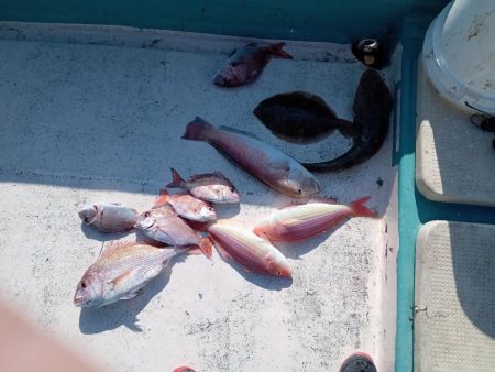 伊島近海鯛ラバ