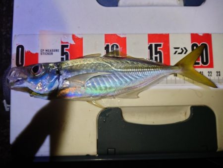 調子こきました。