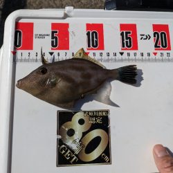 遠投カゴ釣りで真鯛狙い