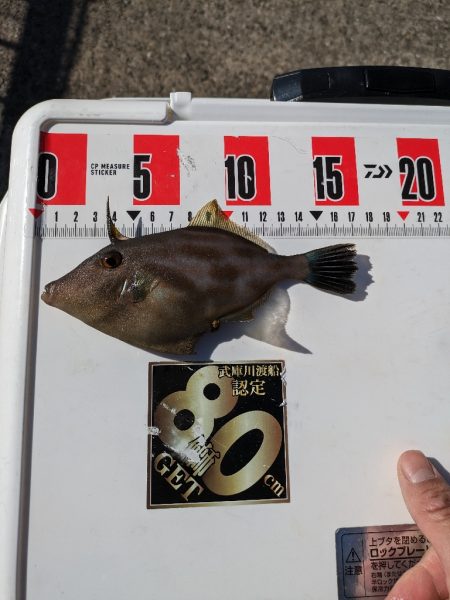 遠投カゴ釣りで真鯛狙い