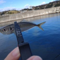 和歌山雑賀崎へ