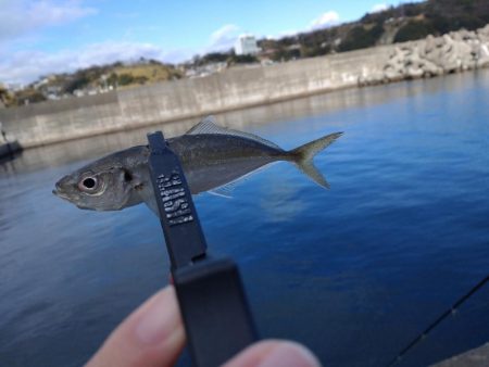 和歌山雑賀崎へ