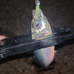 やっぱり納得がいかないよね。