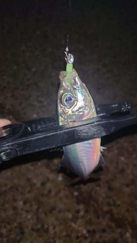 やっぱり納得がいかないよね。