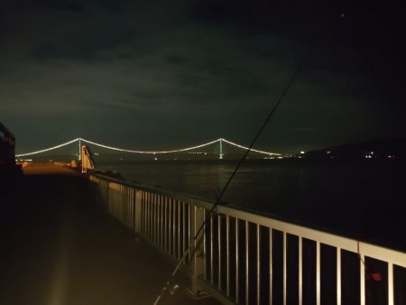 ボウズ続きなので魚に触れたい…