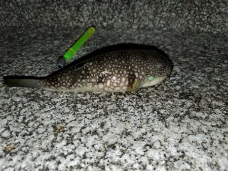 明けましておめでとうございます