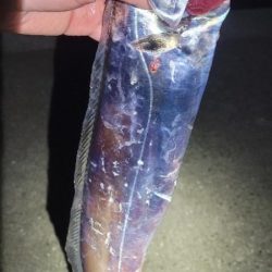 何かちょっと黄色い？？