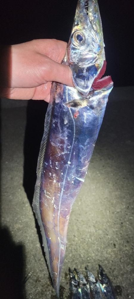 何かちょっと黄色い？？