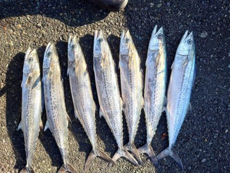 久しぶりのいい日だった