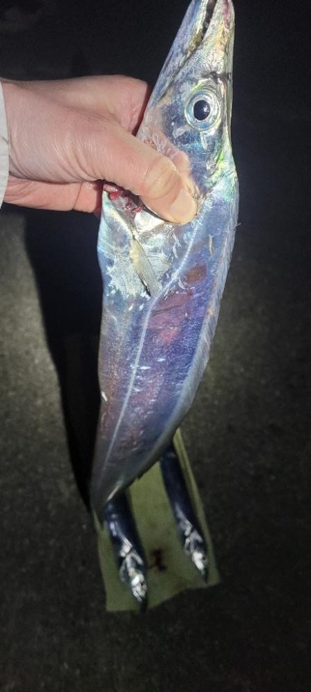 ふぐちゃんの猛攻から逃れて