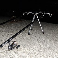 初釣りでアイナメ