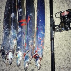 アタリはあるも散発的