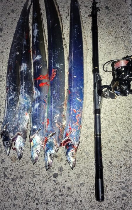 アタリはあるも散発的