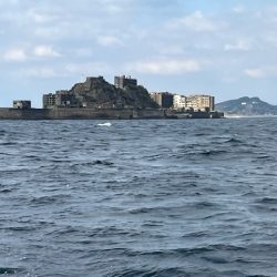 初の長崎カワハギは激シブでした