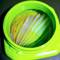 明姫より集いし林崎の夜！