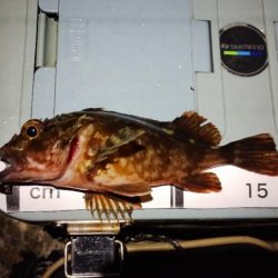 なんちゃってワーム