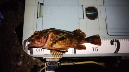 なんちゃってワーム