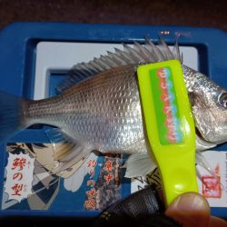 2024/01/30 南港ライトゲーム釣行 (ロックフィッシュ狙い)