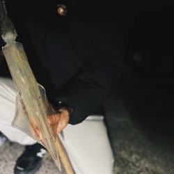 1月でもまだまだ大量回遊!!