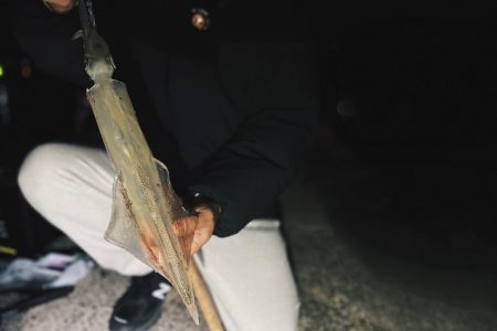 1月でもまだまだ大量回遊!!