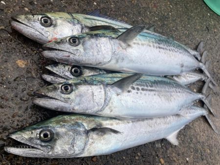 久しぶりのマルチヒット