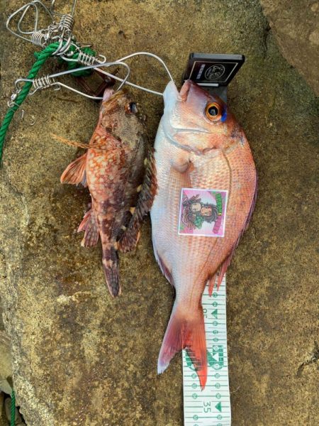 2024年上五島初釣りポイントチェック。久しくカンパリ投稿！