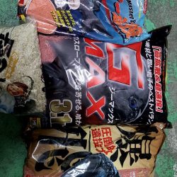 和歌山県串本出雲（谷口渡船）でグレ釣り