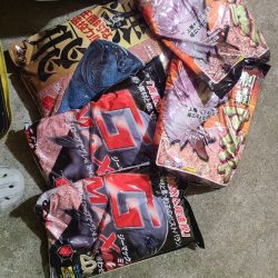 和歌山市江(吉丸渡船)で磯フカセ