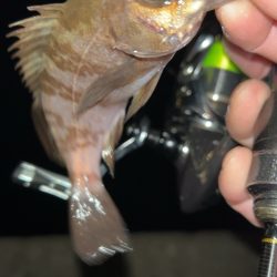 クリアブルーのテスターさんと釣行と…