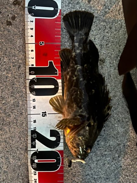 真冬のライトゲーム