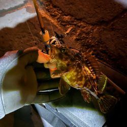 四日市ライトゲーム