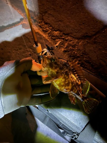 四日市ライトゲーム