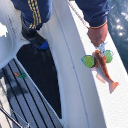 2024初釣行の結果は…