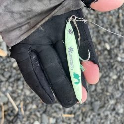 フグに終わりフグに・・・(苦笑)