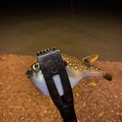 短時間、深夜ライトゲーム