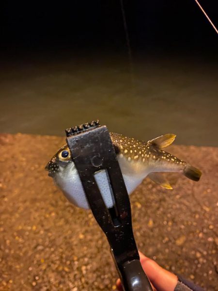 短時間、深夜ライトゲーム