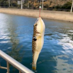 明けましておめでとうございます！