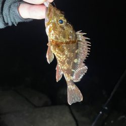 原点にして頂点。