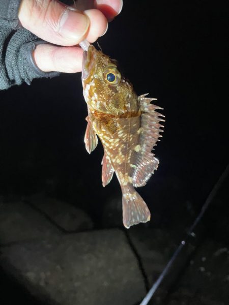 原点にして頂点。