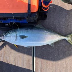 丹後沖ジギング