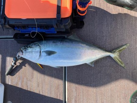 丹後沖ジギング