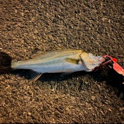 風が強くなる前に