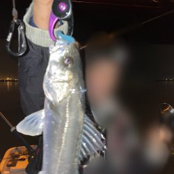 初釣りボートシーバス