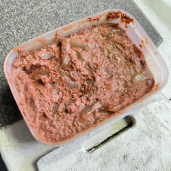 ショウサイフグ/カットウ釣り