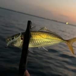 もう終わりかな?