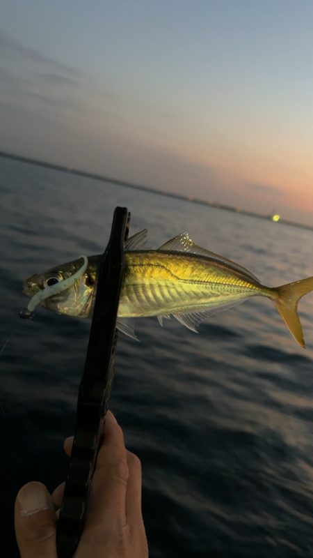 もう終わりかな?