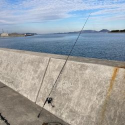 今年の第一号が釣れました。